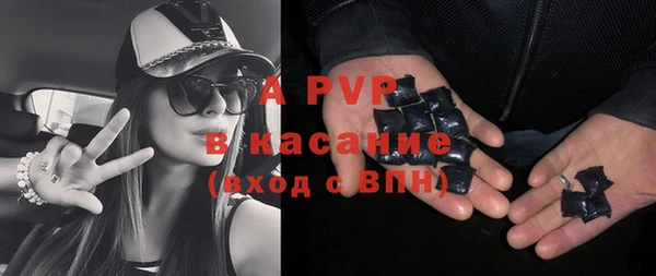 хмурый Аркадак