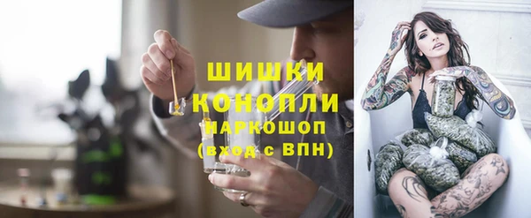 хмурый Аркадак