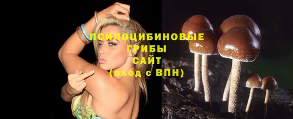 мяу мяу мука Арсеньев