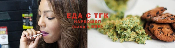хмурый Аркадак