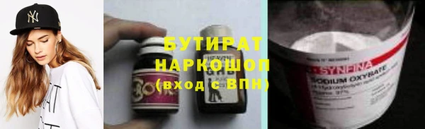 хмурый Аркадак