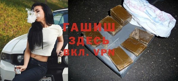 хмурый Аркадак