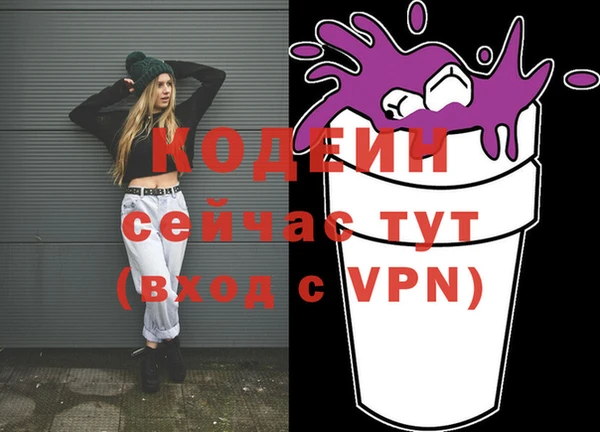 хмурый Аркадак